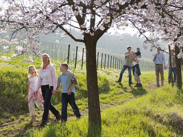09_weinwanderung