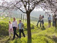 09_weinwanderung